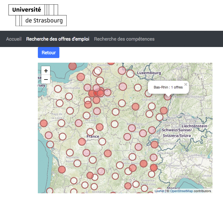Capture du prototype web